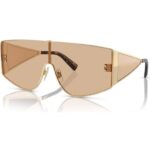 Dolce & Gabbana Dg 2305 (DG 2305_1365-5A_44) Men EYEWEAR