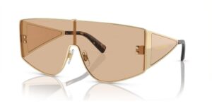 Dolce & Gabbana Sunglasses for Men (DG 2305_1365-5A_44)