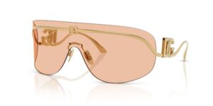 Dolce & Gabbana Dg 2320 (DG 2320_02-73_40) Women's EYEWEAR