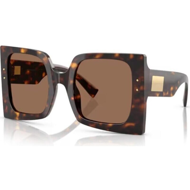 Dolce & Gabbana Dg 4490 (DG 4490_502-73_53) Women EYEWEAR