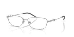 Diesel Dl 5002 (DL 5002_1007_56) Unisex EYEWEAR