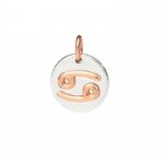 Charms Dodo Dmc2007zodcn0009a (DMC2007ZODCN0009A)  JEWELRY