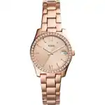Fossil Es4318 (ES4318) Women WATCHES