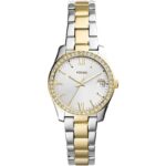 Fossil Scarlette Womens Watch (es4319)