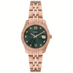 Fossil Scarlette Womens Watch (es5369)