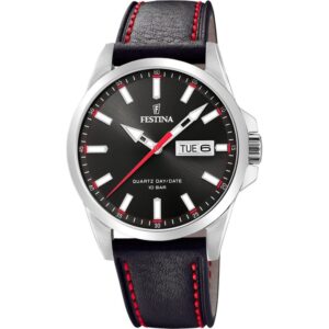 Festina Classics (F20358_4)  Watch
