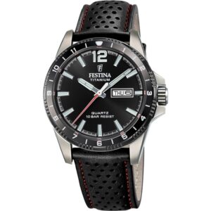 Festina Titanium (F20699_4)  Watch