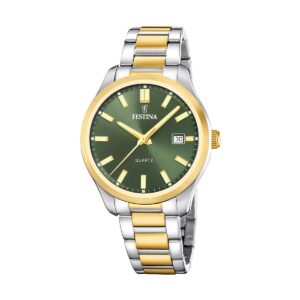 Festina Classics (F20738_2)  Watch