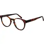 Funky Buddha Fbd1060 50002 (FBD1060 50002) Women EYEWEAR