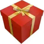 Gift Wrapping / Confezione Regalo / Paquet Cadeaux / Paquete Regalo (GIFT_PACK) Unisex FASHION ACCESSORIES