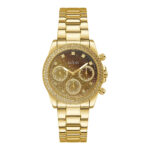 Guess Watches Gw0483l2 (GW0483L2)  Watch
