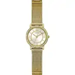 Guess Watches Gw0534l2 (GW0534L2) Unisex WATCHES