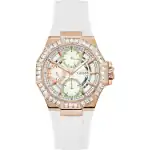Guess Watches Gw0695l3 (GW0695L3) Unisex WATCHES