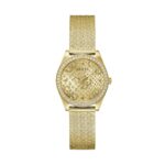 Guess Watches Gw0748l2 (GW0748L2) Women's Watch