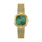 Guess Watches Gw0768l2 (GW0768L2)  Watch