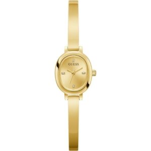 Guess Watches Gw0924l2 (GW0924L2)  Watch