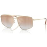 Jimmy Choo Jc 4011 (JC 4011_30060G_58) Women EYEWEAR
