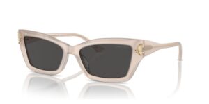 Jimmy Choo Eyewear Women's Sunglasses (JC 5011U_502587_55)