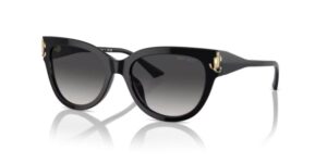 Jimmy Choo Eyewear Women's Sunglasses (JC 5018U_50008G_54)