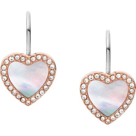 Fossil Jewels Vintage Glitz (JF03456791) Women JEWELRY