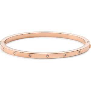 FOSSIL JEWELS JEWELRY JF04394791 FOSSIL JEWELS JEWELRY JF04394791 - -