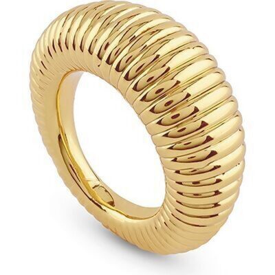 Guess Jewels Jubr05336jwyg56 (JUBR05336JWYG56) Unisex JEWELRY