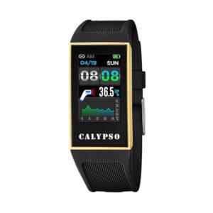 Calypso Watches K8502/4 (K8502_4)  Watch