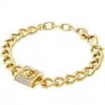 Michael Kors Fashion Jewels Premium (MKJ8061710) Women JEWELRY