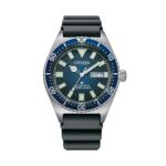 Citizen Promaster Diver’s Automatic 200 Mt (NY0129-07L)  Watch