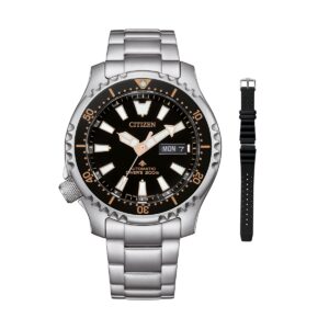 Citizen Ny0160-66e (NY0160-66E)  Watch