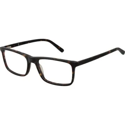 Ok Ok1704 55331 (OK1704 55331) Men EYEWEAR
