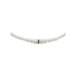 Miluna Pcl2222bn (PCL2222BN)  JEWELRY