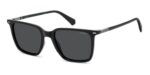 Polaroid Pld 4183_s_x (PLD 4183_S_X_807-M9_53) Men's EYEWEAR