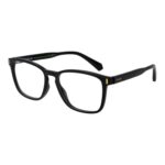 Polaroid Pld D462 54807 (PLD D462 54807) Unisex EYEWEAR