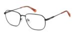 Polaroid Pld D538 (PLD D538_003_57) Men's EYEWEAR