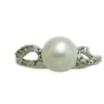 Miluna Pli1101 (PLI1101)  JEWELRY