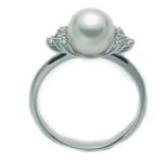 Miluna Pli1431m (PLI1431M)  JEWELRY