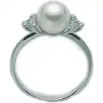 Miluna Pli1431m (PLI1431M) Unisex JEWELRY