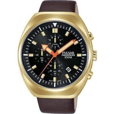 Pulsar Regular (PM3094X1) Men WATCHES