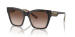 Dolce & Gabbana Print Family Dg 4384 (PRINT FAMILY DG 4384_3217-73 A_53) Women's EYEWEAR