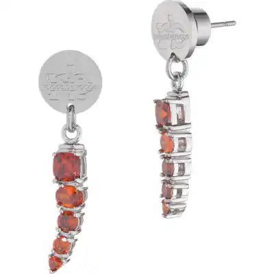 Roccobarocco Ladies Earrings RBJ0015SS
