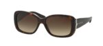 Ralph Lauren Women's Sunglasses (rl 8127b_5003-13_55)