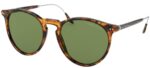 Ralph Lauren Rl 8181p (RL 8181P_5249-4E_53) Men's EYEWEAR