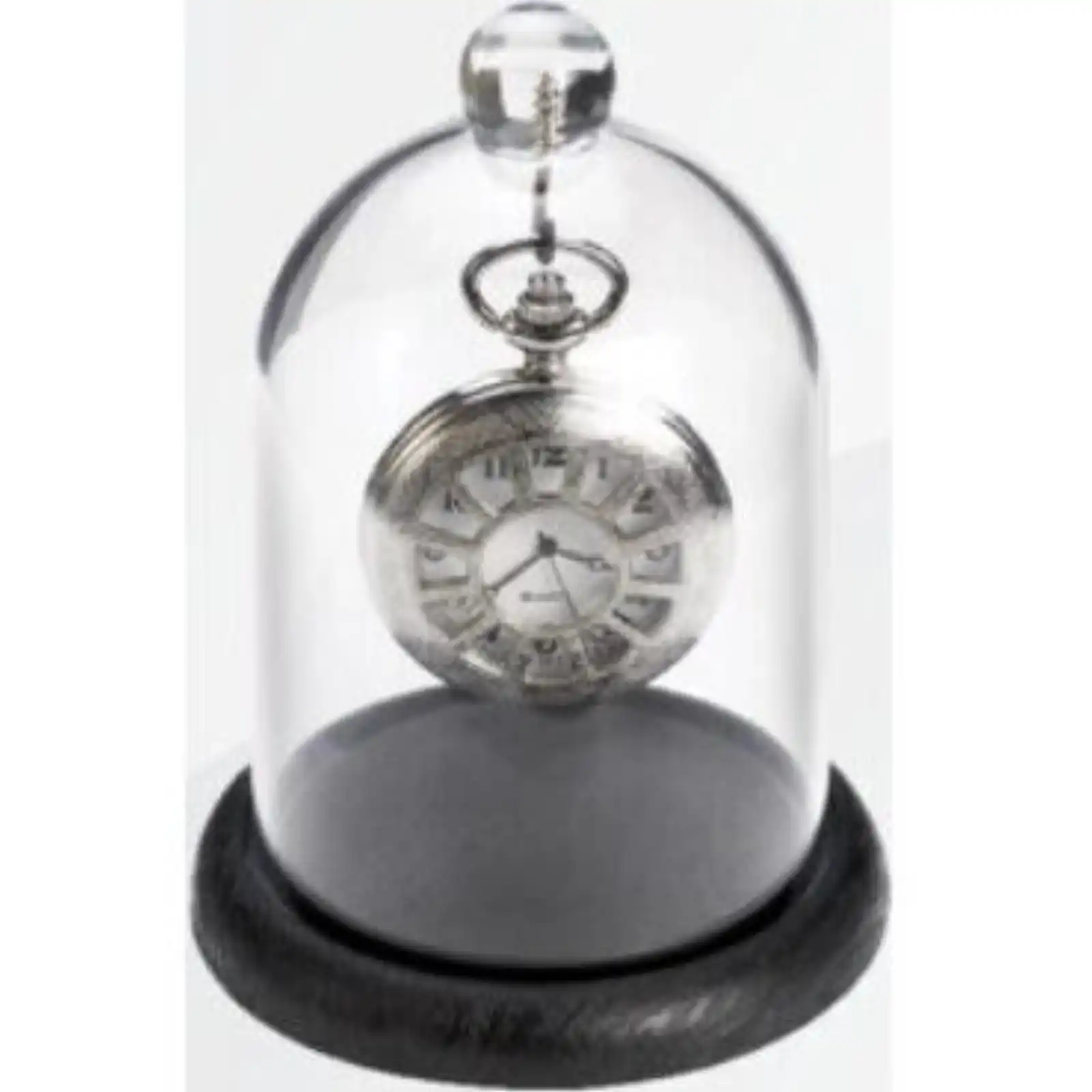Espositore Per Orologi Da Tasca Con Campana In Plexiglass E Base In Legno / Pocket Watches Display