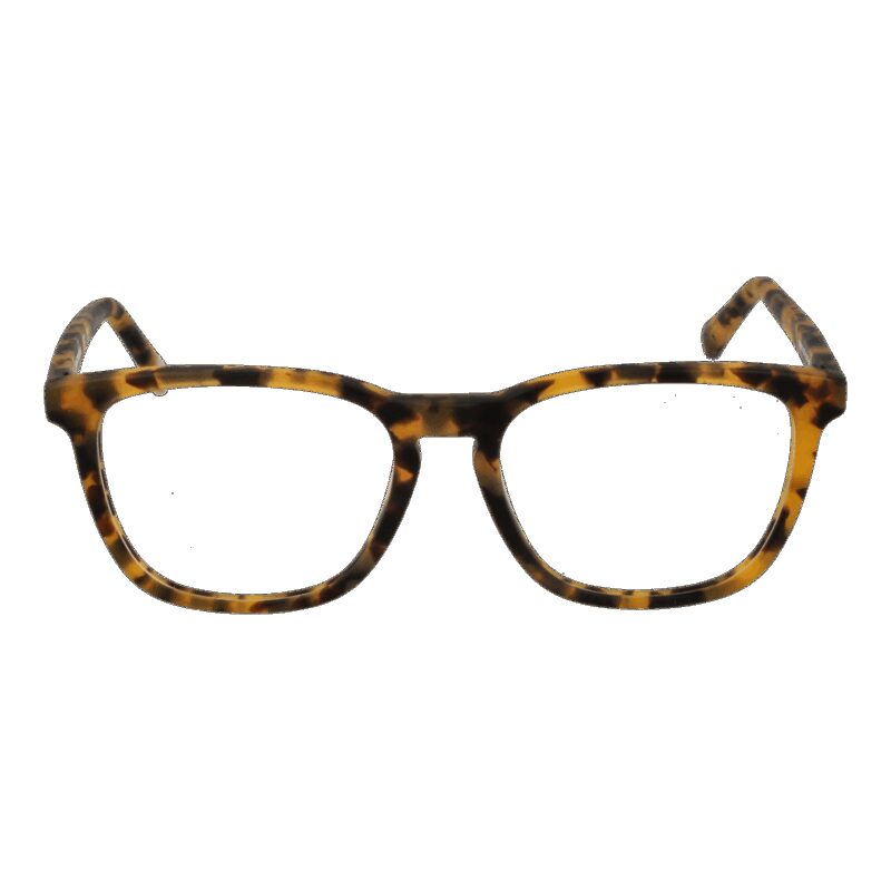 SKECHERS SE50005 51053 (SE50005 51053)