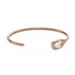 Skagen Denmark Jewels Jewelry Skj1748791 (SKJ1748791)  JEWELRY