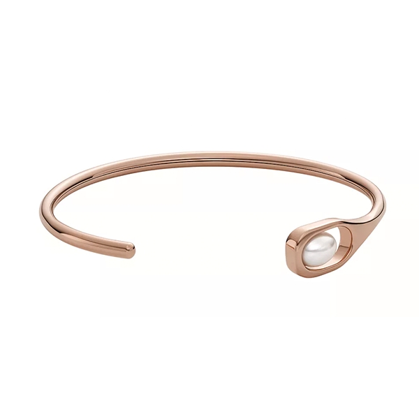 Skagen Denmark Jewels Jewelry Skj1748791 (SKJ1748791) JEWELRY