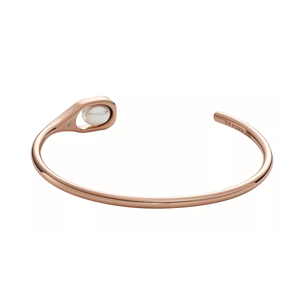 Skagen Denmark jewels jewelry skj1748791 (skj1748791) - Image 2