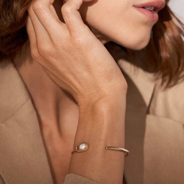 Skagen Denmark jewels jewelry skj1748791 (skj1748791) - Image 3