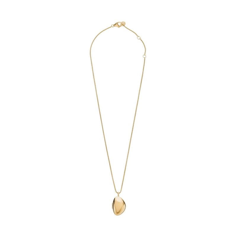 SKAGEN DENMARK JEWELS JEWELRY SKJ1752710 (SKJ1752710) Unisex JEWELRY